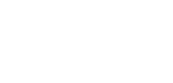 10. Logo Geo laser