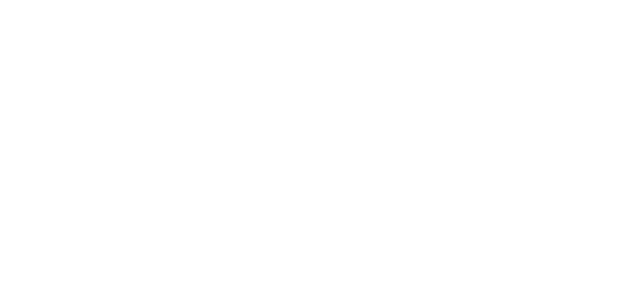 12. Logo proNIVO
