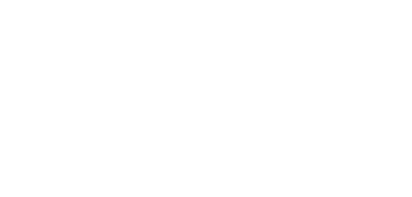 9. Logo GEO fennel